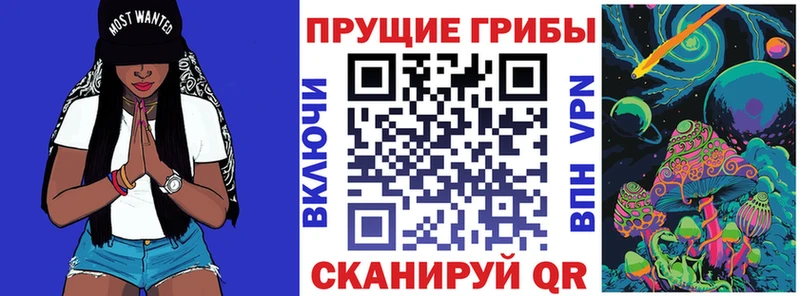 Купить  Керчь  Галлюциногенные грибы прущие грибы 